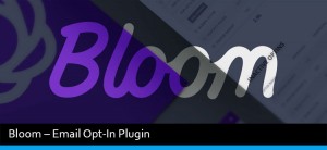 Bloom eMail Opt-In Plugin Review