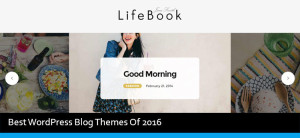 Best WordPress Blog Themes of 2016