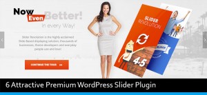 Attractive Premium WordPress Slider Plugin