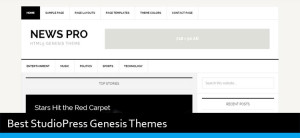 Best StudioPress Genesis Theme