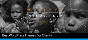 Best WordPress Themes For Charity