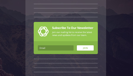 bloom email opt-in plugin review
