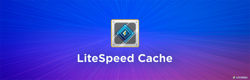 Litespeed Cache - Best WordPress Cache Plugins