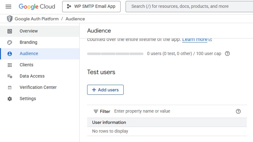 Audience - How to Fix WordPress Not Sending Email Issue